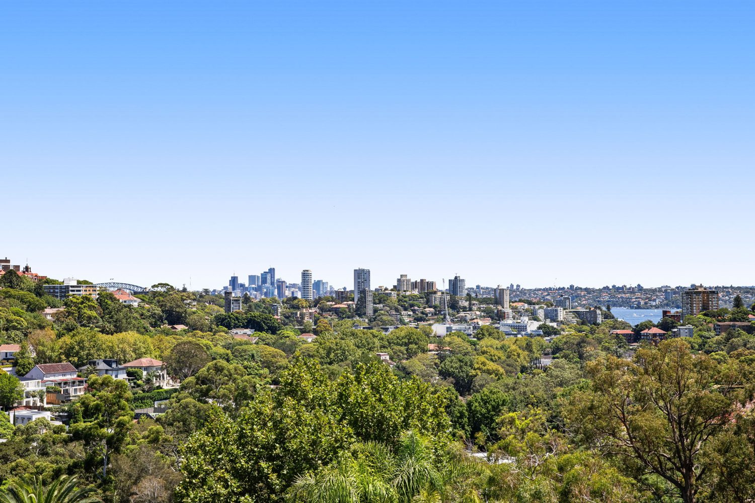Coluccio Construction build in Woollahra, Sydney